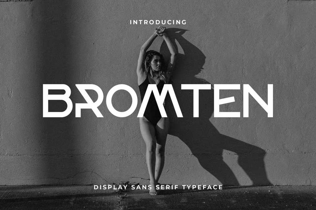  free font download | freefont Pro