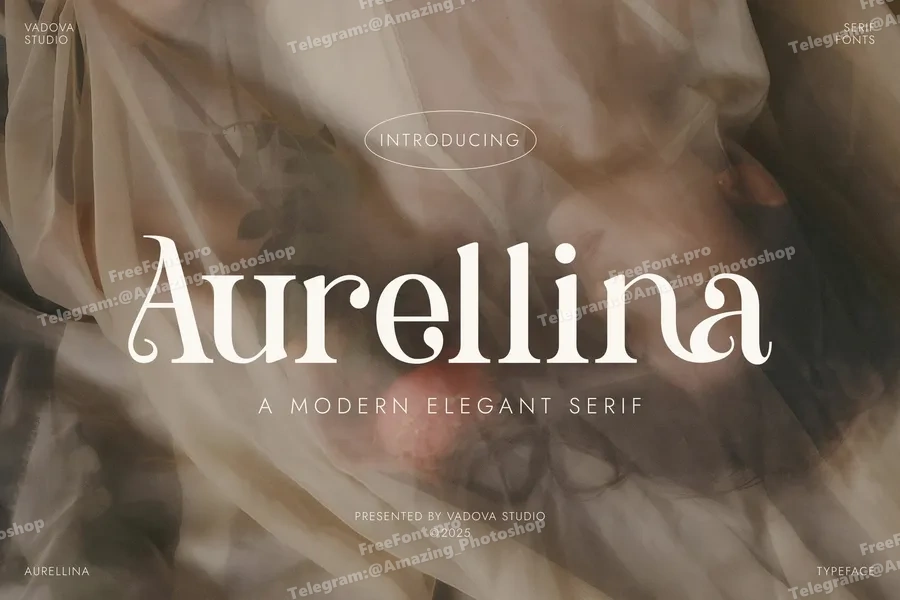 Aurellinamodernelegantserif20250704173842utc free font download | freefont Pro free font download | freefont Pro