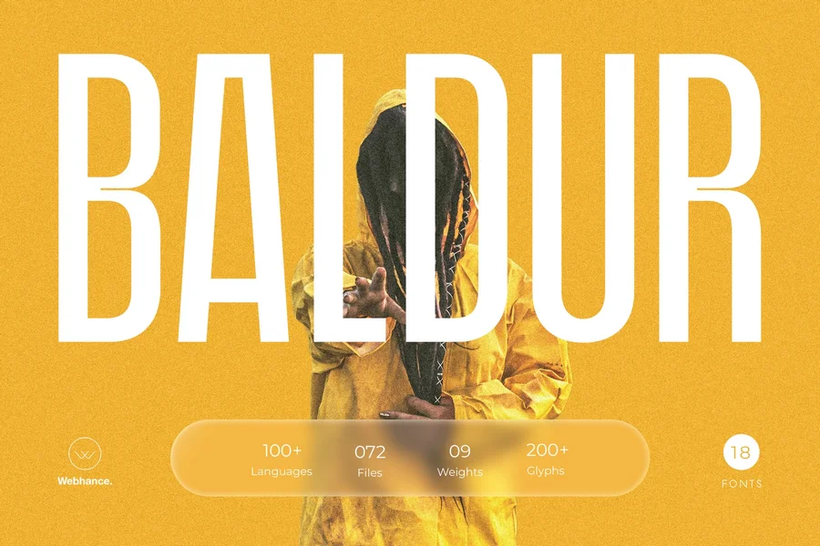 Baldurmoderndisplayfontfamily20250714171215utc free font download | freefont Pro free font download | freefont Pro