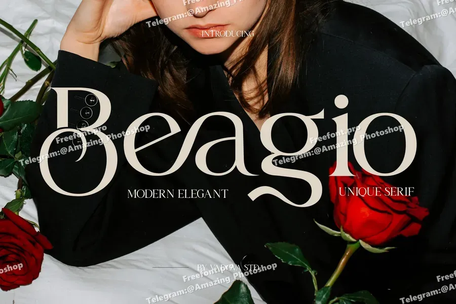Beagioelegantuniqueseriffont20250708172454utc free font download | freefont Pro free font download | freefont Pro