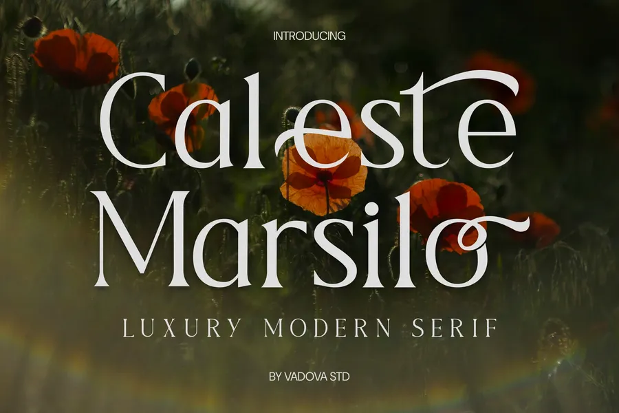 Calestemarsiloluxurymodernserif20250710163906utc free font download | freefont Pro free font download | freefont Pro