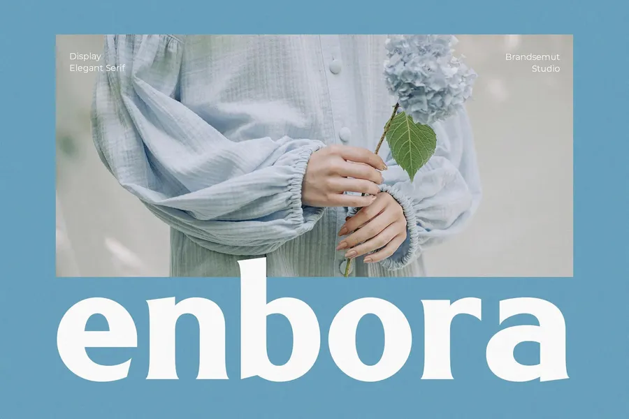Enboraelegantseriffont20250704184456utc free font download | freefont Pro free font download | freefont Pro