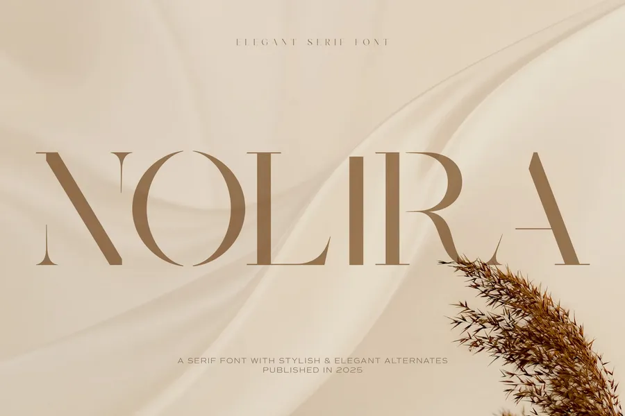Noliraelegantseriffont20250708185917utc free font download | freefont Pro Nolira elegant serif font free font download | freefont Pro