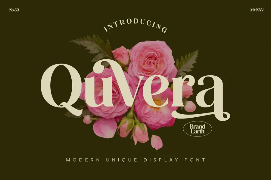 Quveraseriffont20250708172755utc free font download | freefont Pro free font download | freefont Pro