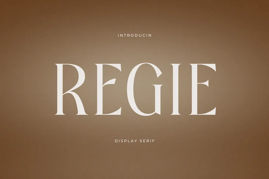 Regieelegantdisplayseriffont20250704184356utc free font download | freefont Pro free font download | freefont Pro