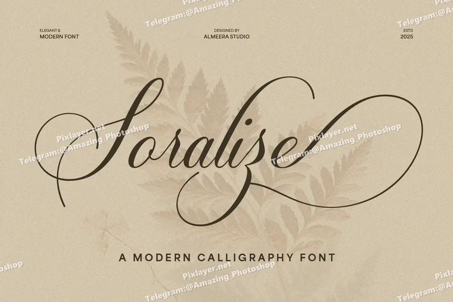  free font download | freefont Pro