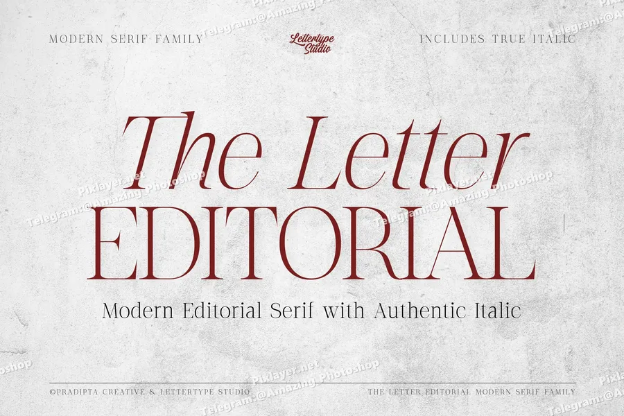 Thelettereditorialmodernelegantserif20250704182451utc free font download | freefont Pro free font download | freefont Pro