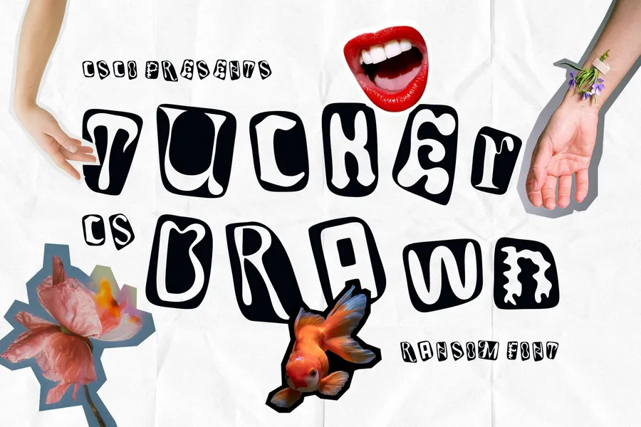 Tuckerdrawn20250711202059utc free font download | freefont Pro free font download | freefont Pro