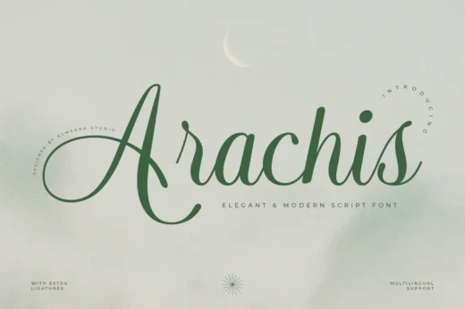 Arachis – Elegant & Modern Script Font