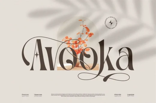 Avooka - Modern Serif Font