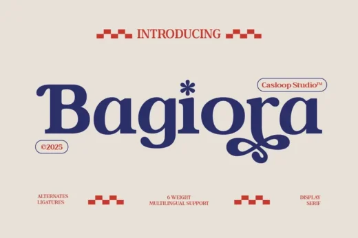 Bagiora - Food Brand Identity Bold & Luxury Font