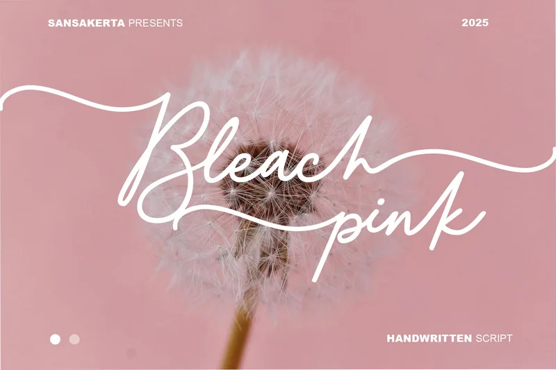 Bleach pink  free font download | freefont Pro