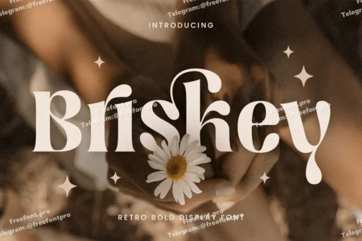 Briskey   retro bold display font  free font download | freefont Pro