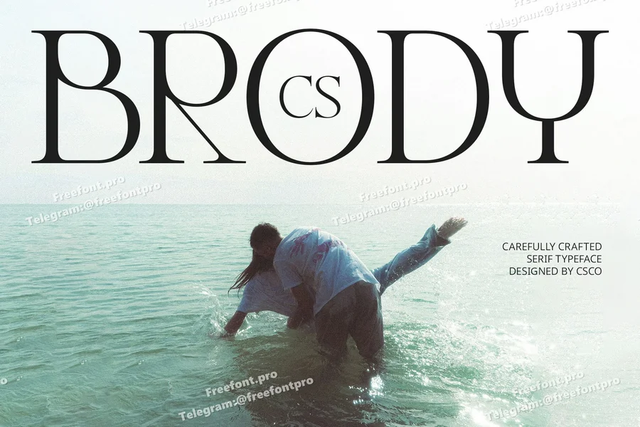  free font download | freefont Pro