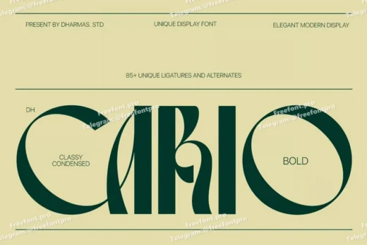  free font download | freefont Pro