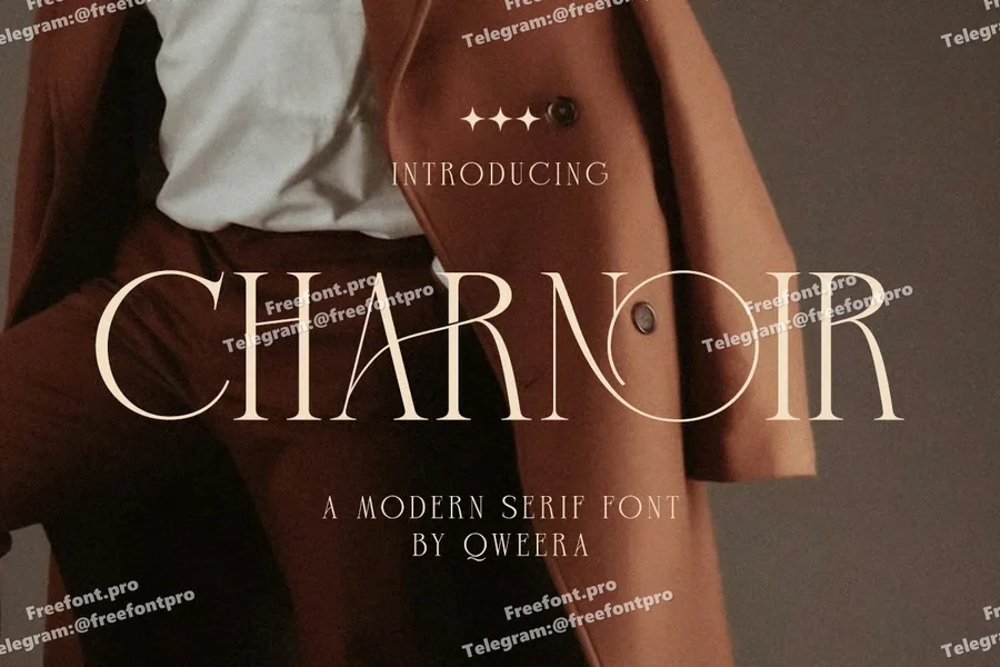 Charnoirmodernelegantluxurylogo20250807165316utc free font download | freefont Pro free font download | freefont Pro