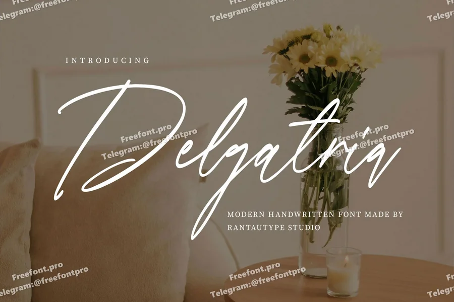 Delgatriamodernhandwrittenfont20250804191403utc free font download | freefont Pro Delgatria modern handwritten font free font download | freefont Pro