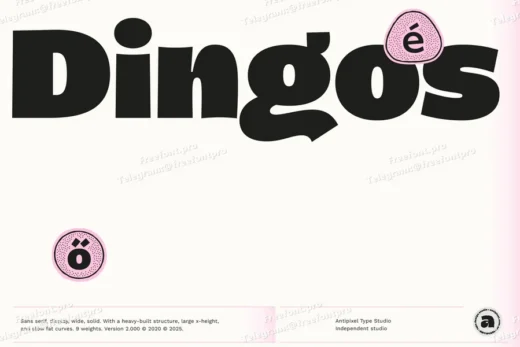 Dingos – Energetic Sans 9 Weights
