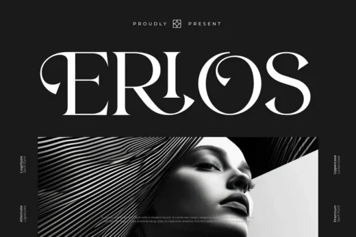 Erios - Modern Elegant Serif Font