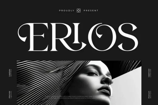 Erios   modern elegant serif font  free font download | freefont Pro