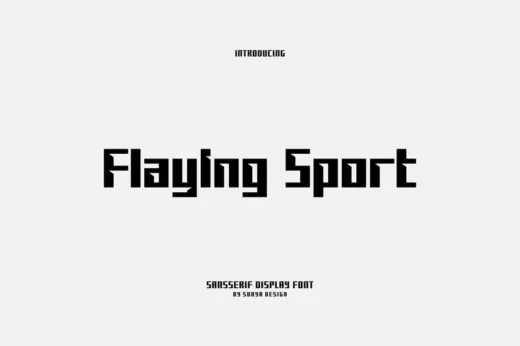 Flaying Sport Sans Serif Display Font