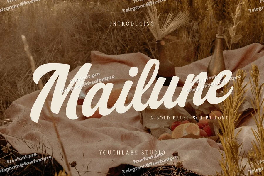 Mailune   bold brush script font  free font download | freefont Pro