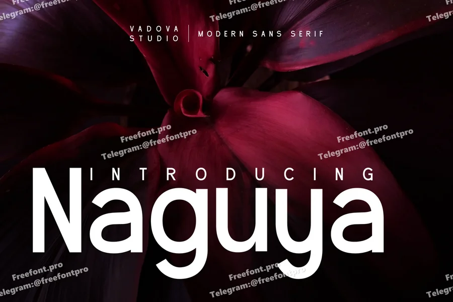 Naguyamodernsansseriffont20250804203819utc free font download | freefont Pro Naguya modern sans serif font free font download | freefont Pro