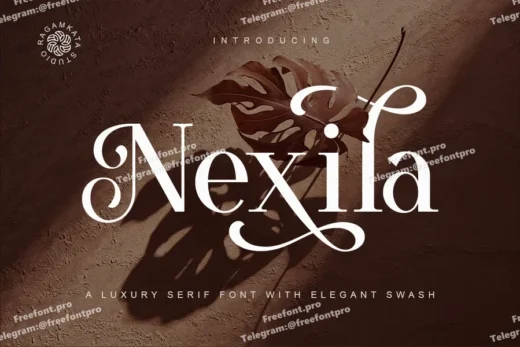 Nexila - Luxury Serif Font