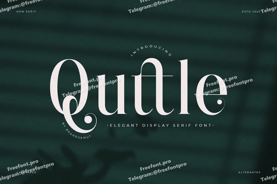 Quttleelegantmoderndisplayseriffont20250807170318utc free font download | freefont Pro Quttle elegant modern display serif font free font download | freefont Pro