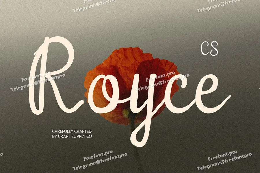 Roycescriptfont20250731183428utc free font download | freefont Pro free font download | freefont Pro