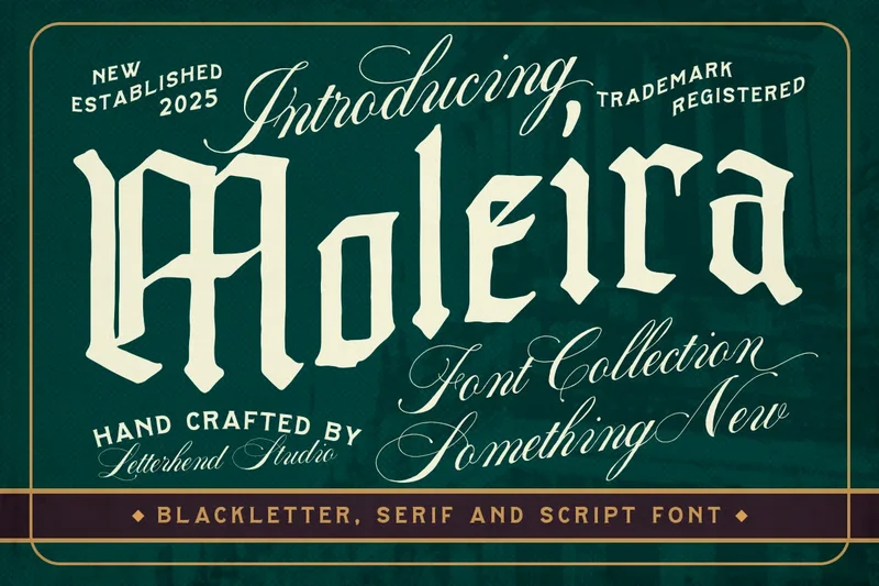 Moleira20250811205203utc free font download | freefont Pro Moleira free font download | freefont Pro