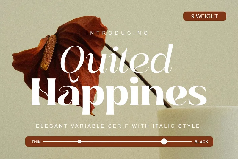 Quitedhappineselegantvariableseriffont20250818191812utc free font download | freefont Pro Quited happines elegant variable serif font free font download | freefont Pro