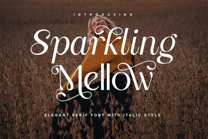 Sparklingmellowelegantseriffont20250814221005utc free font download | freefont Pro Sparkling mellow elegant serif font free font download | freefont Pro