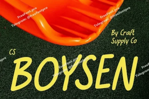 Boysen  handwritten sans serif font  free font download | freefont Pro