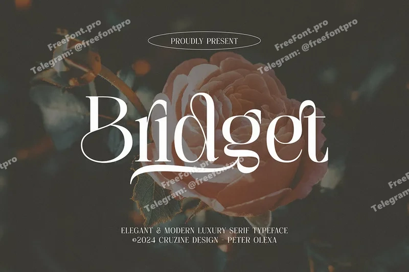 Bridgetelegantserif20251015181004utc free font download | freefont Pro free font download | freefont Pro