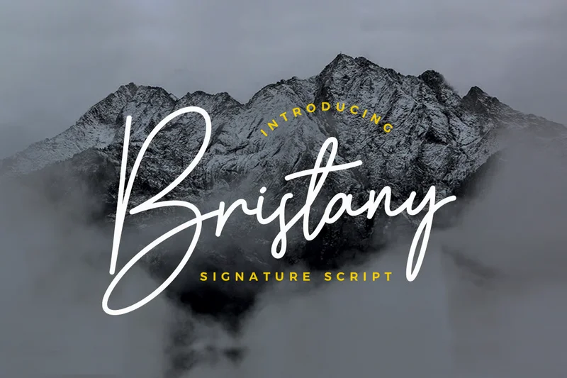 Bristanysignaturefont20250930203558utc free font download | freefont Pro free font download | freefont Pro
