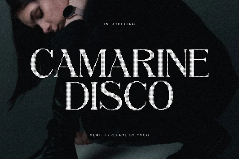 Camarinedisco20251001225035utc free font download | freefont Pro free font download | freefont Pro
