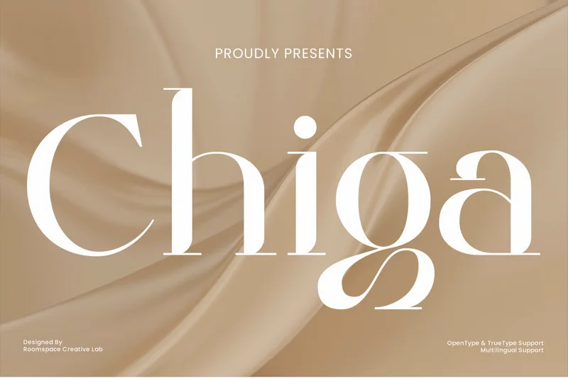 Chigarefinedseriftypefaceformoderndesigner20251001194037utc free font download | freefont Pro free font download | freefont Pro