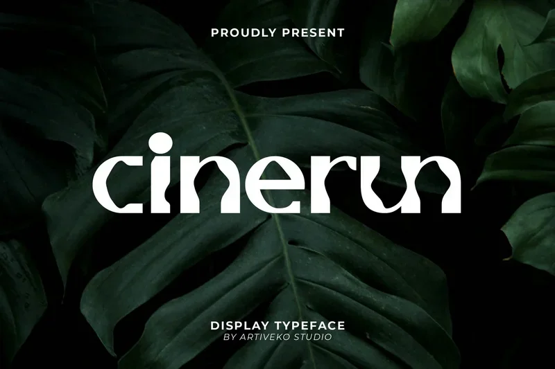 Cinerundisplaysans20250930025852utc free font download | freefont Pro free font download | freefont Pro