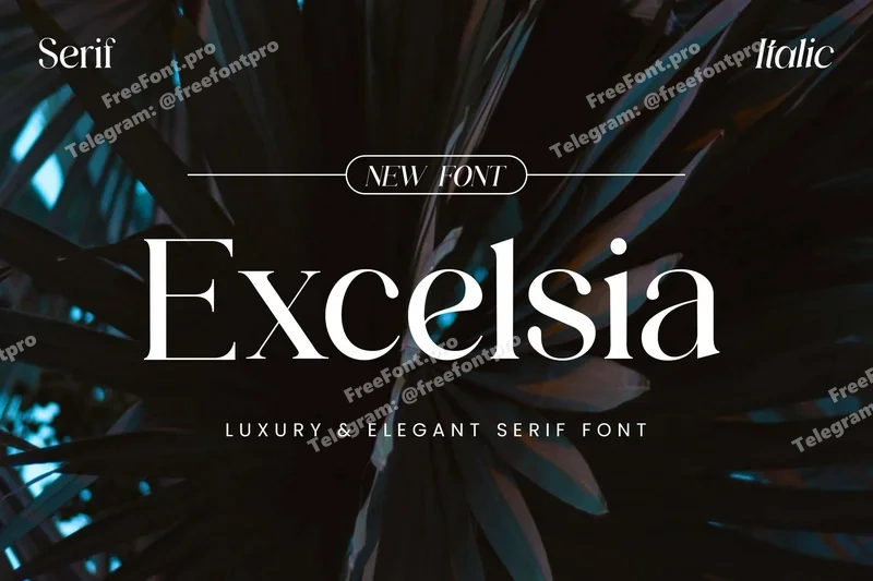  free font download | freefont Pro