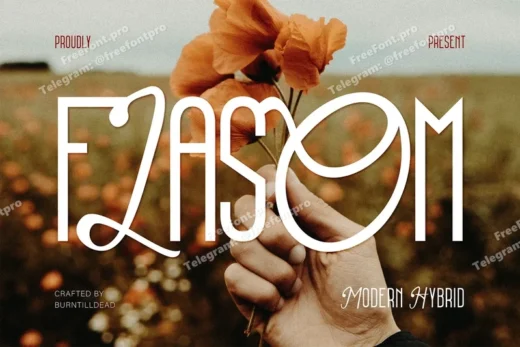  free font download | freefont Pro