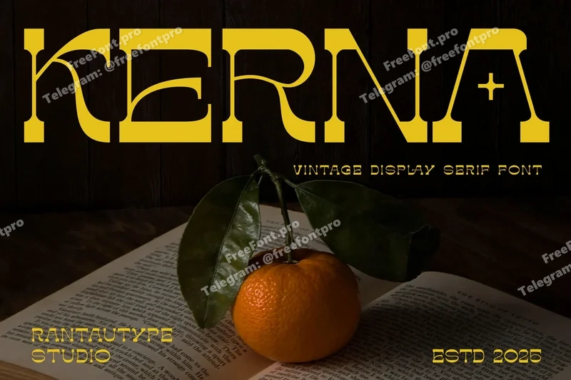  free font download | freefont Pro