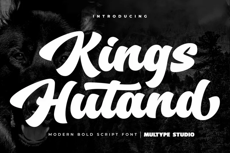 Kingshutandmodernscriptboldfont20251001164738utc free font download | freefont Pro free font download | freefont Pro