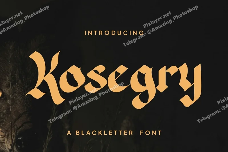  free font download | freefont Pro