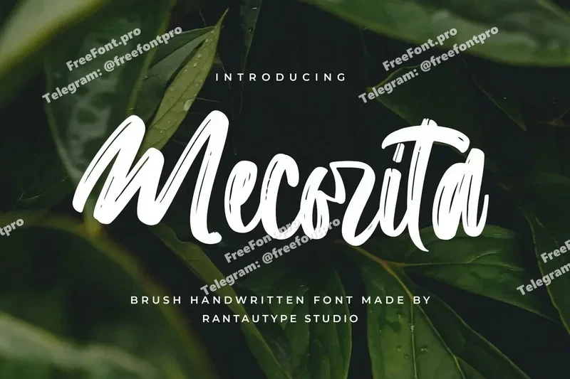 Mecoritabrushhandwrittenfont20251013233633utc free font download | freefont Pro free font download | freefont Pro