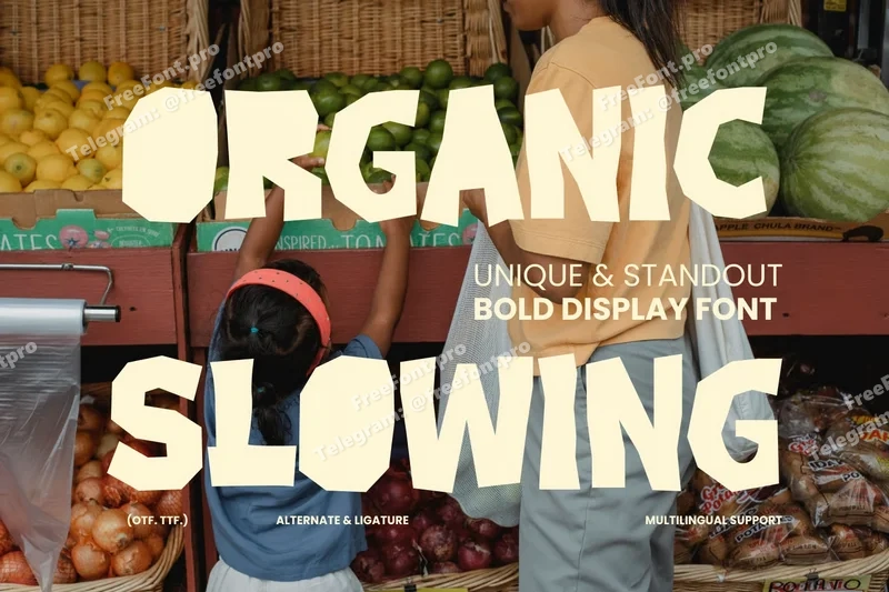 Organicslowingfoodfont20251016225204utc free font download | freefont Pro free font download | freefont Pro