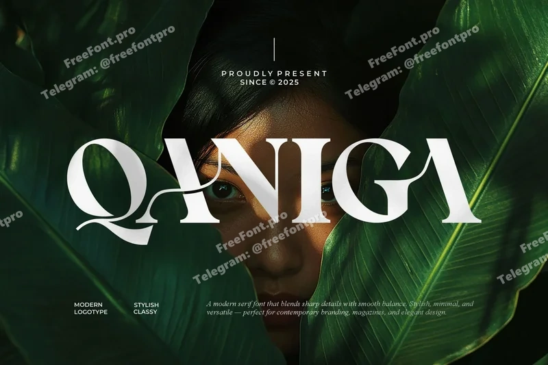 Qanigamodernclassyseriffont20251015194312utc free font download | freefont Pro free font download | freefont Pro