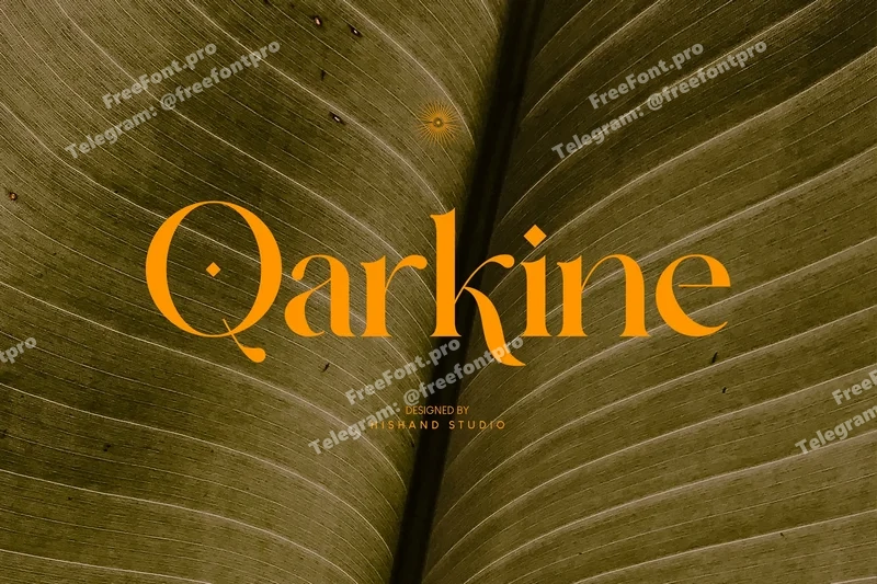 Qarkineelegantserif20251015183726utc free font download | freefont Pro free font download | freefont Pro