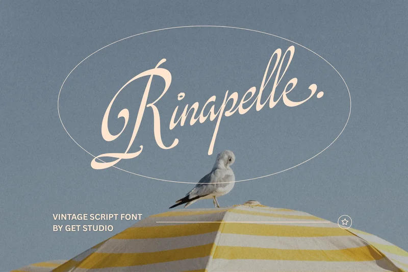 Rinapellevintagescriptfont20251007184736utc free font download | freefont Pro free font download | freefont Pro