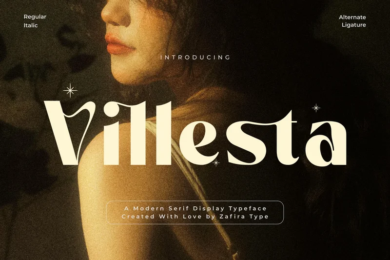 Villesta20251003232105utc free font download | freefont Pro free font download | freefont Pro